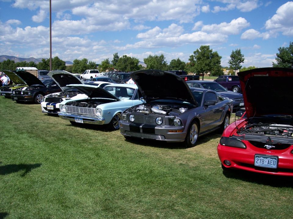 Cars lined up on grass with hoods open, some are Mustangs