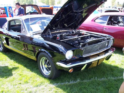 1972 Ford Ranchero - A black 1965 Ford Mustang GT350 is displayed with its hood open at an outdoor car show.