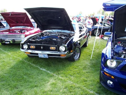 1972 Ford Ranchero - A dark blue 1971 Ford Mustang Mach 1 is displayed with its hood open at an outdoor car show.