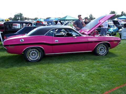1972 Ford Ranchero - A pink 1970 Dodge Challenger is displayed at an outdoor car show with its hood open.