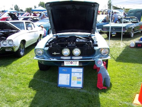 1972 Ford Ranchero - A blue 1968 Ford Mustang GT is displayed with its hood open at an outdoor car show.