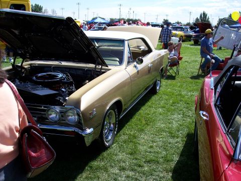 1972 Ford Ranchero - A gold 1966 coupe with its hood open is displayed on a grassy field, likely at a car show event.