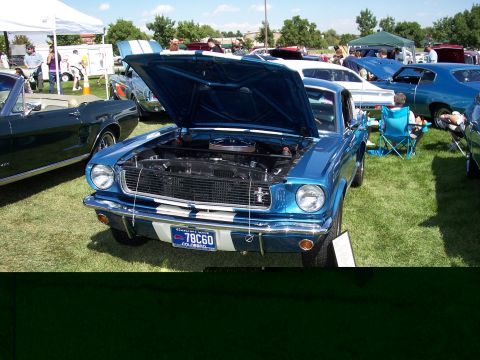 1972 Ford Ranchero - A blue 1965 Ford Mustang is displayed with its hood open at an outdoor car show.