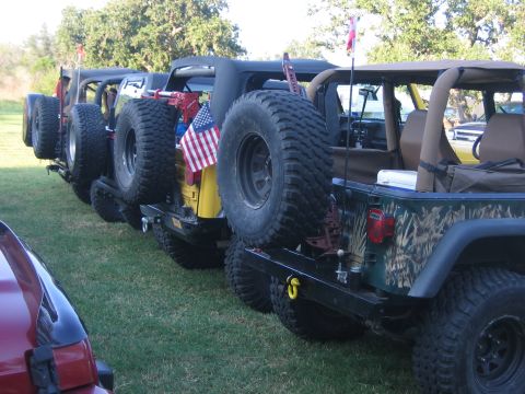 2001 Jeep Wrangler - A line of Jeeps are parked on a grassy area with trees in the background.