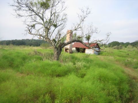 2001 Jeep Wrangler - An old house and a tree stand in a field of green grass under an overcast sky.