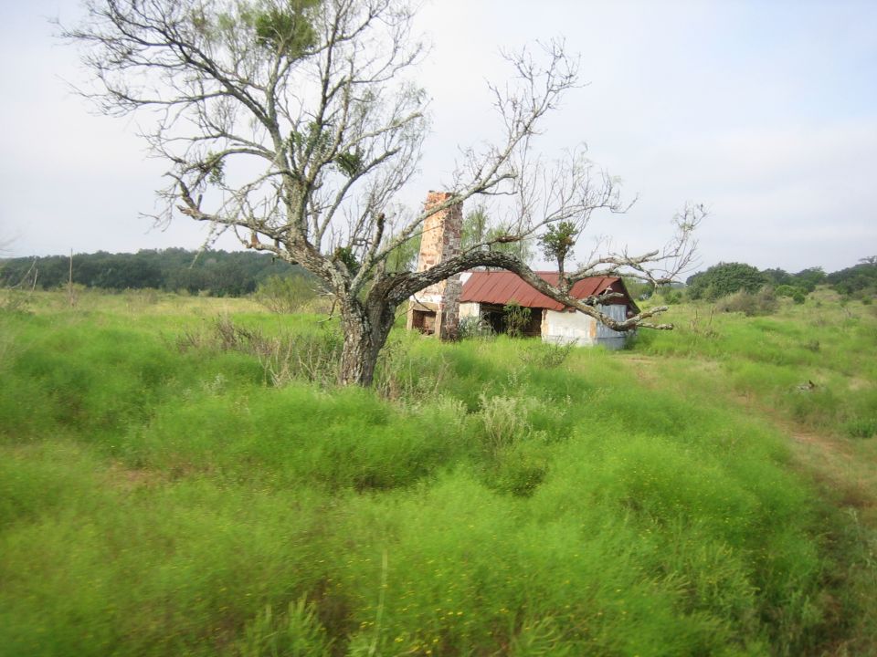 Abandoned house with a rusty roof and stone chimney, next to a bare tree in a grassy field