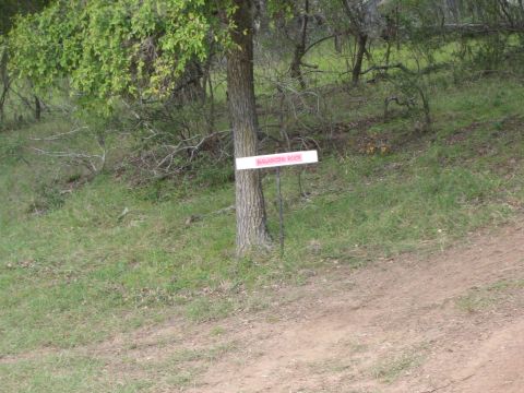 2001 Jeep Wrangler - A sign reading 'Balancing Rock' is attached to a tree on a grassy hillside.