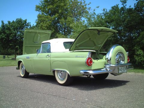 1956 Ford Thunderbird - Light green 1956 Ford Thunderbird convertible with hood and trunk open, parked outdoors.