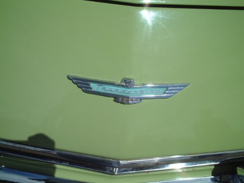 1956 Ford Thunderbird - Close-up of the hood emblem on a 1956 Ford Thunderbird, showing the iconic bird and brand names.