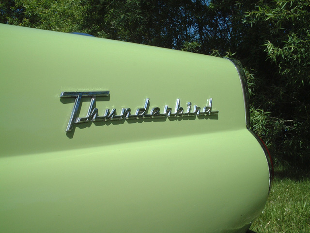 Light green 1956 Ford Thunderbird rear quarter panel with script emblem