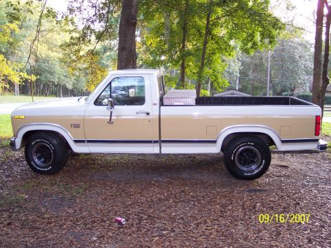 1996 Ford Bronco - Staci's F150