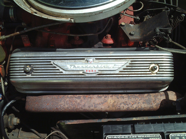 Aluminum Thunderbird-script valve cover on a Ford Y-block V8 with red block and rusty manifold below