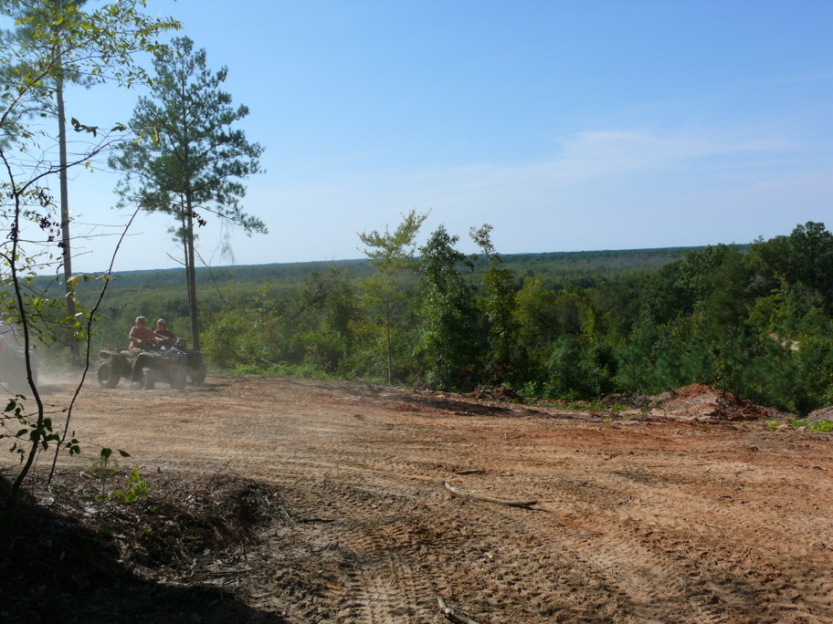 Two ATVs driving on a dirt road with trees and a forest in the background
