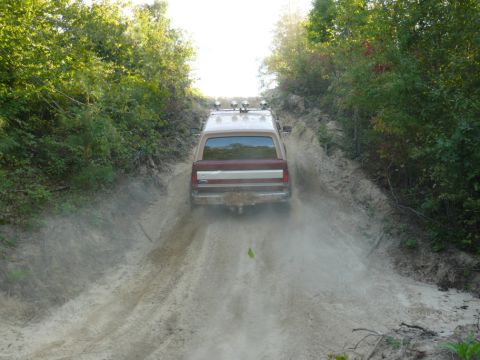 1988 Ford Bronco - A Ford Bronco navigates a dusty, uphill trail surrounded by dense foliage.