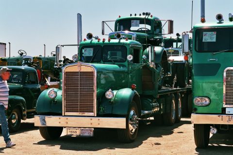 1981 Kenworth W900A - Several green trucks are parked in an outdoor lot under a clear sky.