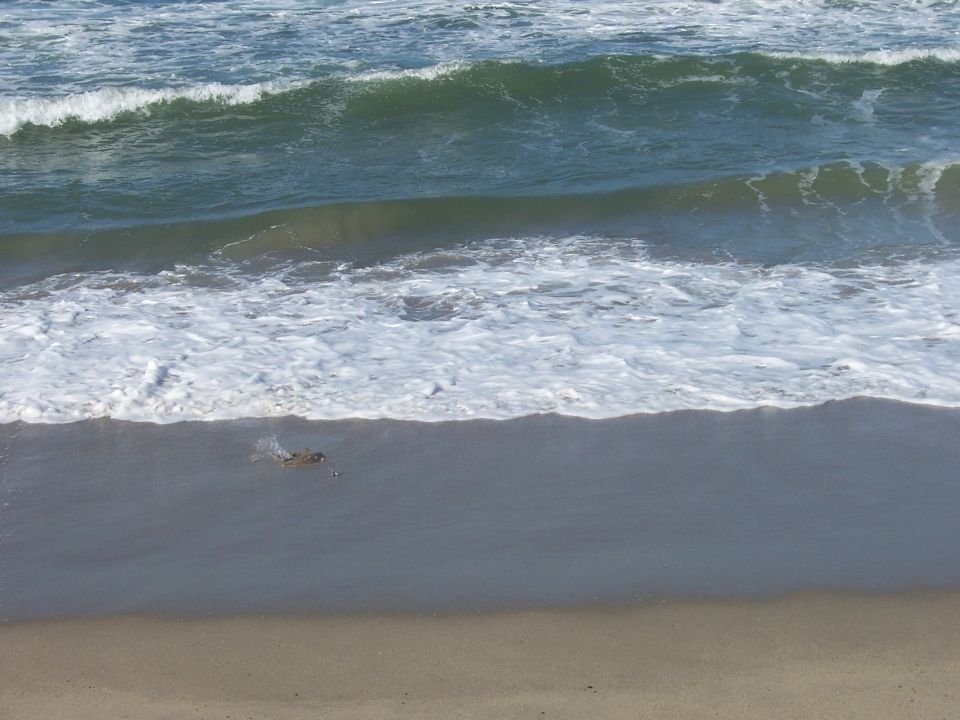 Waves rolling onto a sandy beach