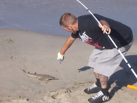 1991 Ford Bronco - A man wearing a glove points at a guitarfish lying on the sand near the water's edge.