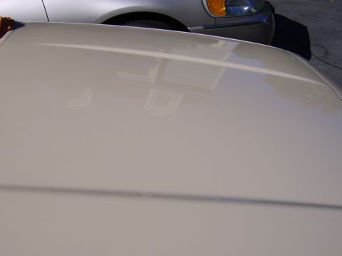1996 Mercury Grand Marquis - Close-up of a light silver/champagne body panel (likely roof or hood) with reflections of a building's windows and blinds visible in the gl…