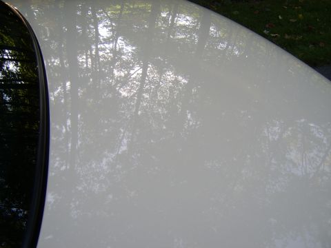 1996 Mercury Grand Marquis - Close-up of a glossy white body panel, likely a hood or roof, showing clear reflections of surrounding trees and sky, with green grass and…