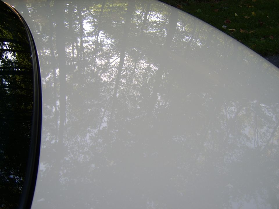 White glossy car body panel reflecting trees, with grass in background