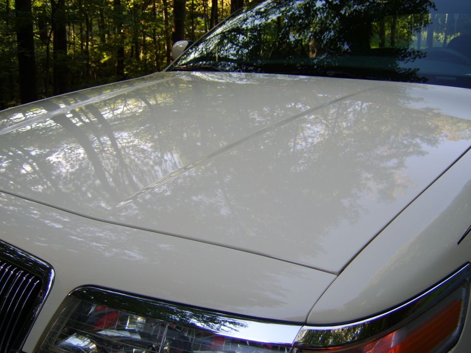 White sedan hood and windshield with tree reflections, chrome headlight and grille at lower left