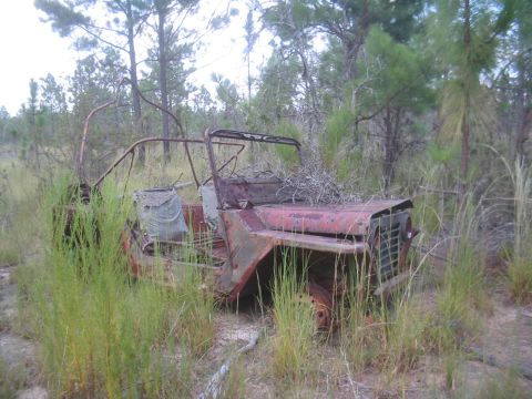1979 Ford Bronco - look what I found...