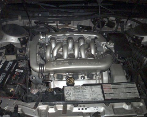 1989 Ford Taurus “The real SHO!”