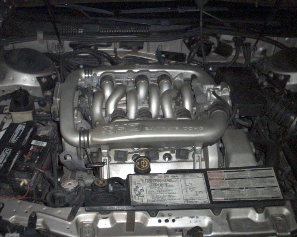 1989 Ford Taurus “The real SHO!”