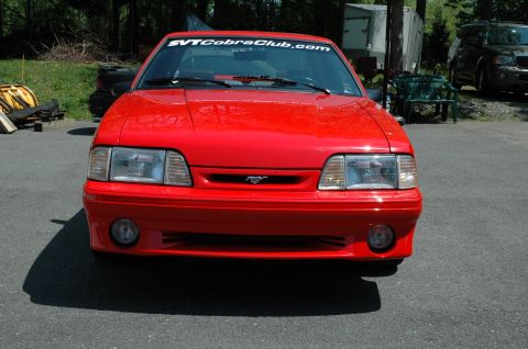 1993 Ford Mustang - Front view of a red 1993 Ford Mustang Cobra, a SVTCobraClub.com banner.