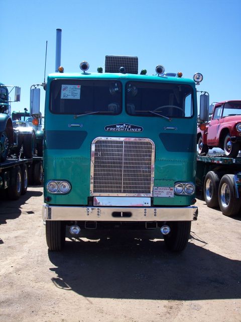 1981 Kenworth W900A - A green White Freightliner truck is parked outdoors under a clear blue sky.