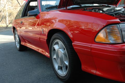 1993 Ford Mustang - A red 1993 Ford Mustang Cobra coupe is parked outdoors with its hood open, showing the engine bay.