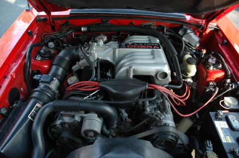 1993 Ford Mustang - Engine bay of a 1993 Ford Mustang Cobra, showing the 5.0 Liter V8 engine.
