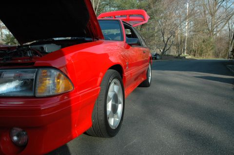 1993 Ford Mustang - A red 1993 Ford Mustang Cobra is shown with its hood and trunk open, parked on a paved road with trees in the background.