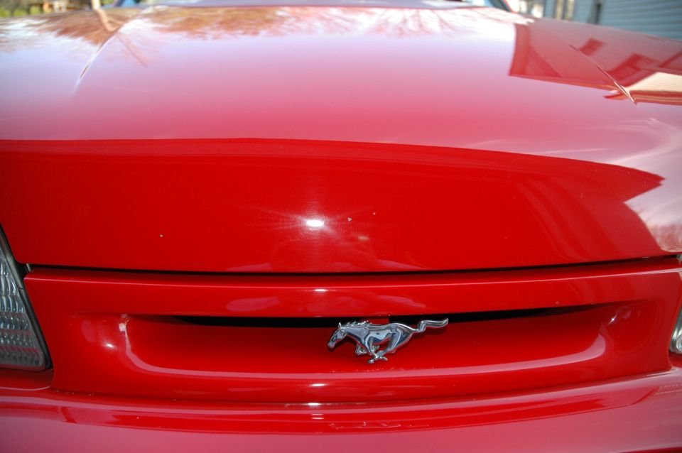 Rear of red Ford Mustang with chrome running horse pony emblem