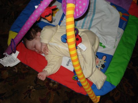 2000 Ford Crown Victoria - A baby sleeps soundly on a playmat adorned with various animal graphics and toys.