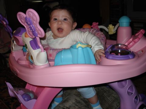 2000 Ford Crown Victoria - Baby sits in a pink walker with blue and purple toys attached.