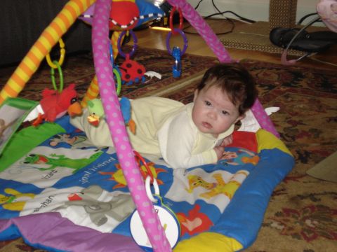 2000 Ford Crown Victoria - A baby lies on their stomach on a playmat, surrounded by colorful toys and patterns.