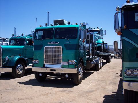 1981 Kenworth W900A - A green semi-truck with 'WHITE FREIGHTLINER' badging is parked outdoors under a clear blue sky.