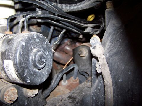 2000 Ford Crown Victoria - View from opening in radiator support (cold-air snout on airbox) at level of airbox. Oh look, what's that visible in the background? Those…