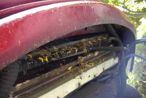 1997 Ford Taurus - Debris is accumulated in the radiator fins of a vehicle.