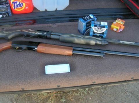 1996 Ford Bronco - Two shotguns and boxes of ammunition are visible in the cargo area of a vehicle, alongside a bottle of Tide detergent.