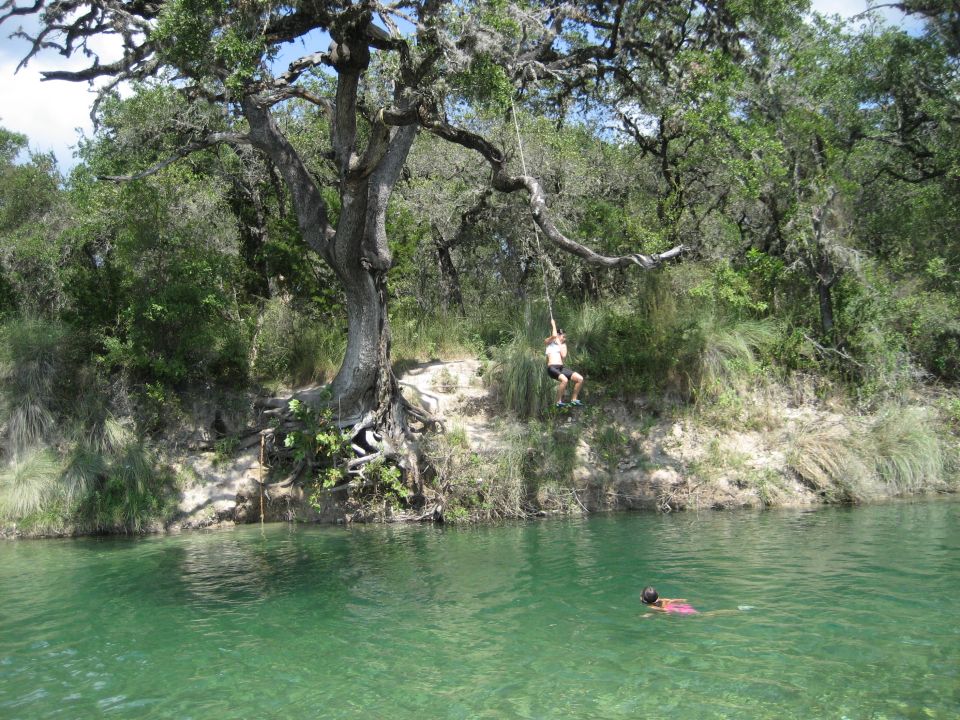 Person on a rope swing over green water beside a large oak tree, swimmer in red below