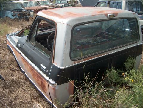 1979 Ford Bronco - This 1979 Ford Bronco cab shows significant rust and is surrounded by weeds in a junkyard setting.