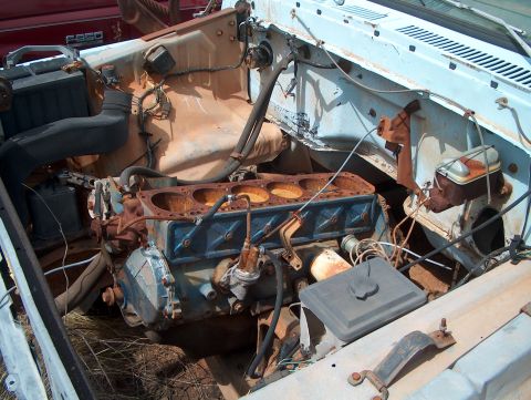 1979 Ford Bronco - The engine compartment of a weathered light blue truck, revealing a V8 engine and various components.