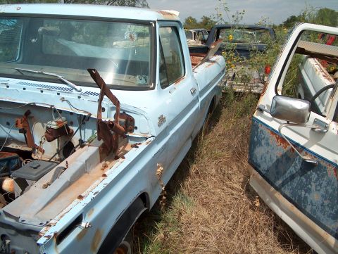 1979 Ford Bronco - Multiple old pickup trucks sit abandoned in a junkyard, overgrown with weeds and showing significant rust.