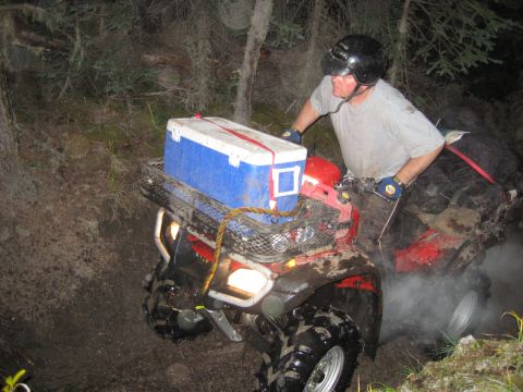 2004 Honda TRX 350 FE