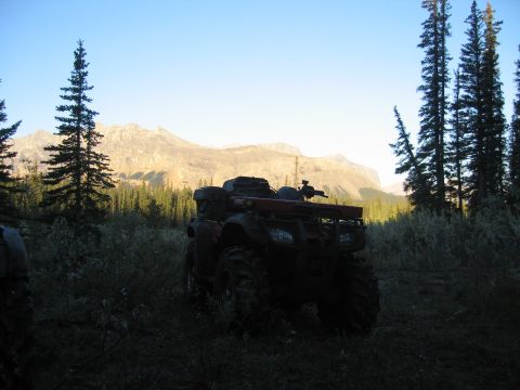 2004 Honda TRX 350 FE