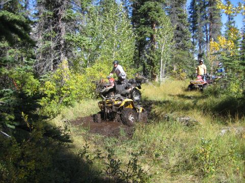 2004 Honda TRX 350 FE