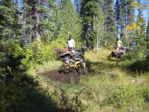 2004 Honda TRX 350 FE