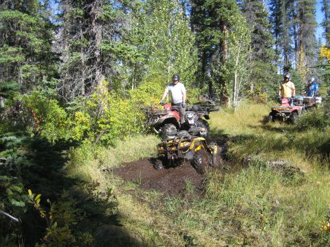 2004 Honda TRX 350 FE